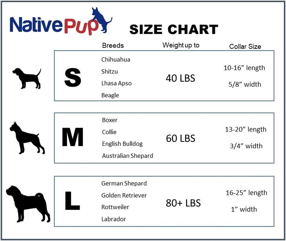 Native Pup Reflective Dog Collar,Bright Glow Colors for Night Safety, Adjustable for Small, Medium, Large Pet and Puppies Accessories, Male, Female, Boy, Girl, Puppy (Medium, Blue)