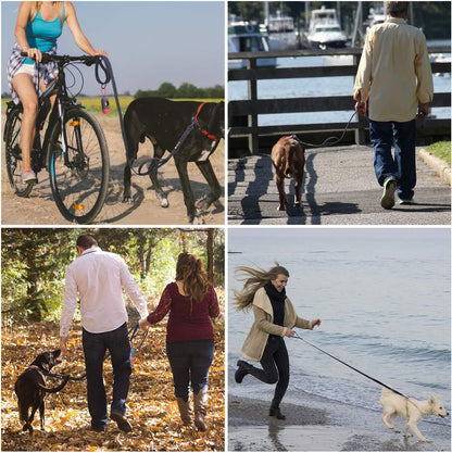 Bolux 5Ft Dog Leash, Heavy Duty Rope Leash with 2 Padded Handle – Pet Training Lead with 3M Reflective Double Handle for Traffic Control Safety, Perfect for Large Medium or Small Dog (Black)